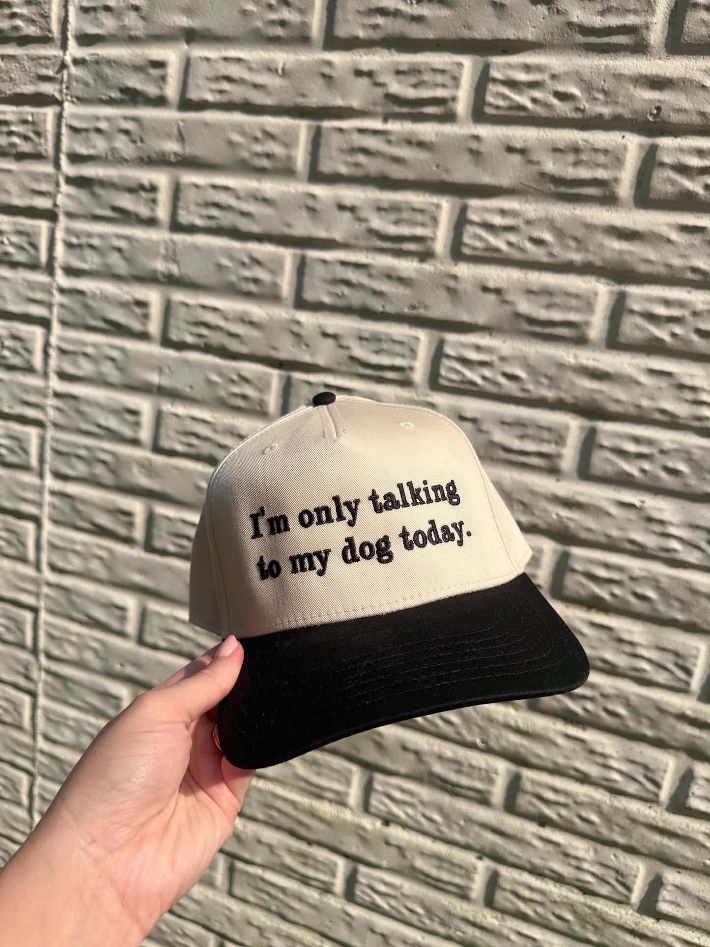Only talking to my dog today hat - black